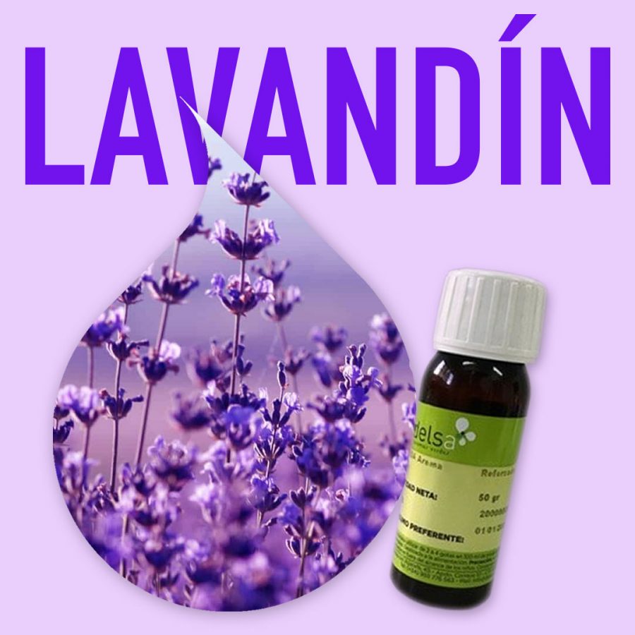 aroma-alimentario-lavandin-1