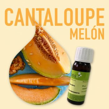 aroma-alimentario-melon-cantaloupei-1