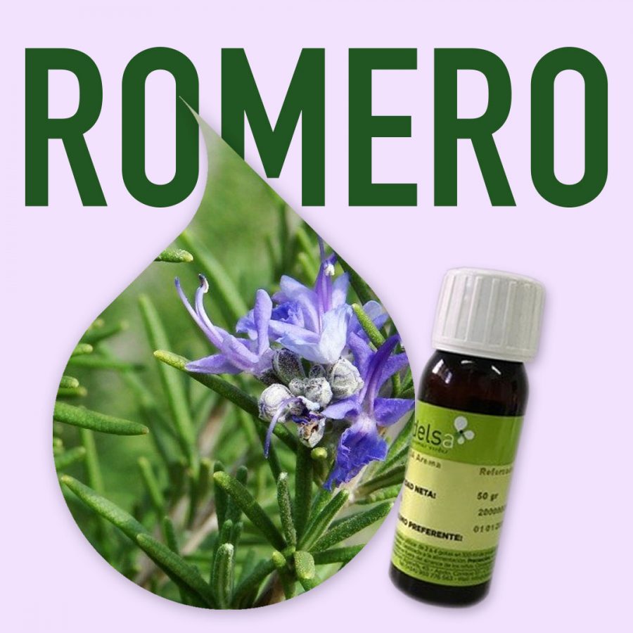 aroma-alimentario-romero-1