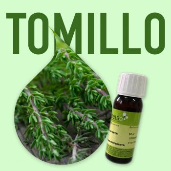 aroma-alimentario-tomillo-1