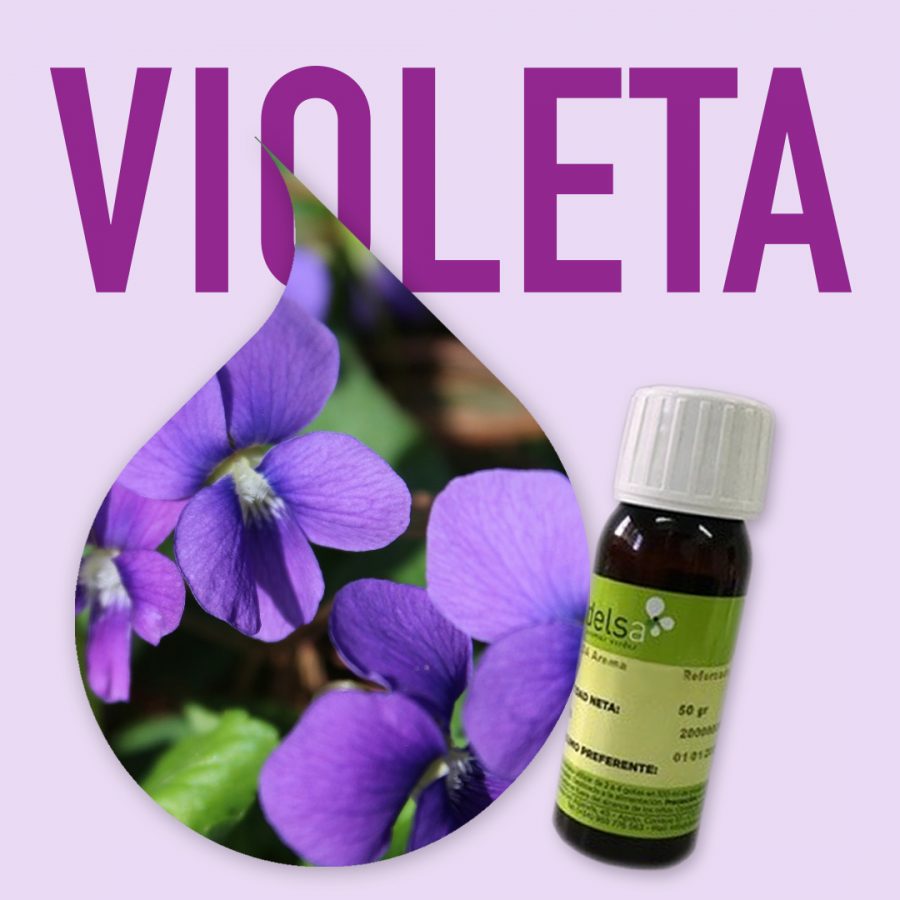 aroma-alimentario-violetai-1
