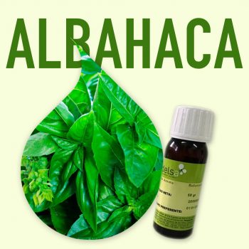 aroma-alimentario-albahaca-1